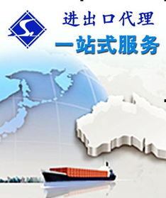 中小企業(yè)代理商服務(wù) 國內(nèi)貿(mào)易代理與出口貿(mào)易服務(wù)全面指南